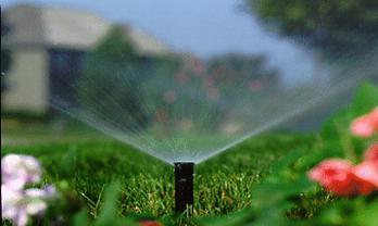 庭院灌溉的特点(图)-家庭养花|绿化-中国风景园
