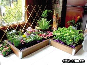 九大方法打造花园客厅(组图)-家庭养花|绿化-中
