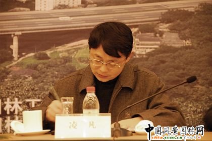 重庆市人民政府办公室副主任凌凡到会并致辞