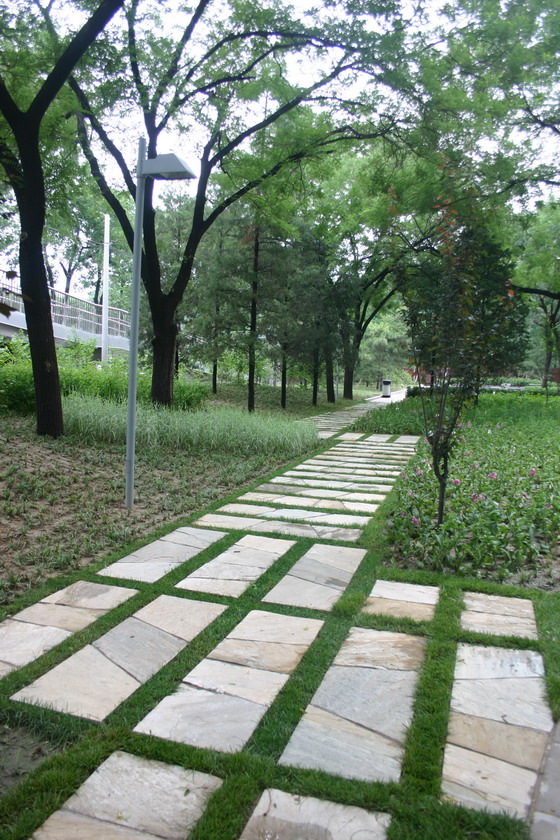 2008社会精品工程之北京清华东路道路绿化工