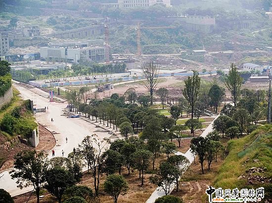 透视重庆江北区鸿恩寺公园的建造状况-园林绿
