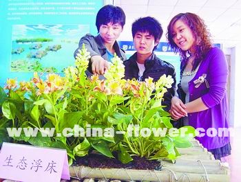南京大学生发明水生花卉植物载体专利产品_科