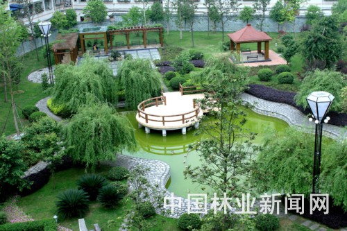 碧湖、绿树成为大足县民休闲娱乐的好去处。
