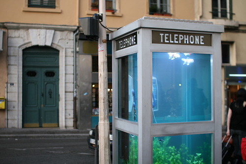 街头的浪漫--电话亭变身迷你水族馆