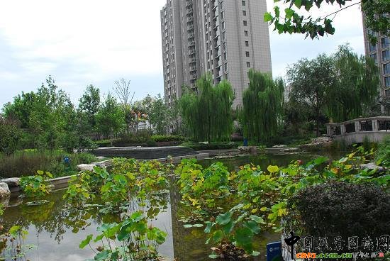 北京2009年优质工程评选工作拉开帷幕-园林绿