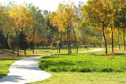 北京园林学会将办生态园林城市建设研讨会-