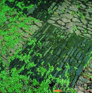 楼庆西:中国古代园林特征与保护(图)-经验交流