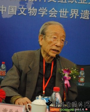 中国文物学会名誉会长、著名文物专家谢辰生