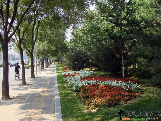西二环路道路绿化整治--2009年北京市优质工程