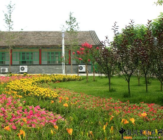 永定河管理所庭院绿化改造--2009年北京市优质