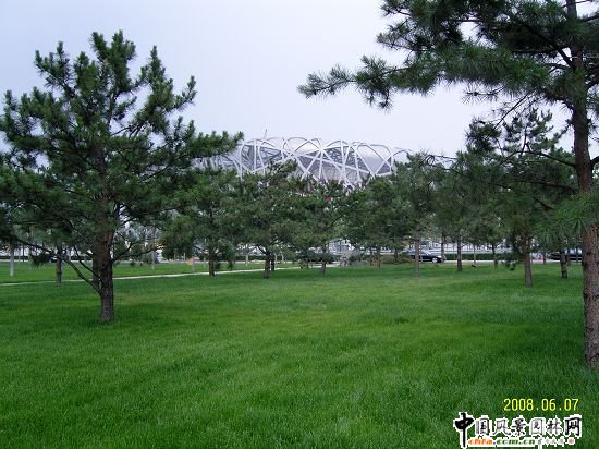 北京奥林匹克森林公园中心区娘娘庙外围绿化工程