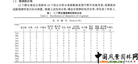 中国菊属一些种的分支分类学研究