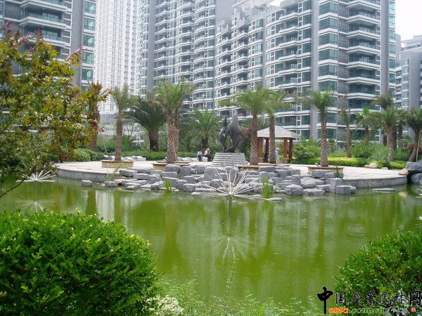 上海大华清水湾二期园林景观设计-住区绿化|规