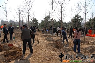 北京迎来第26届义务植树日 各界为首都献绿-国