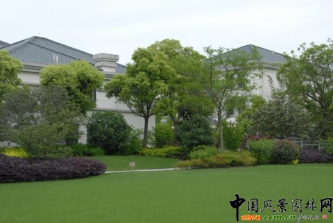 园林企业作品:上海张江润和国际总部园-园林绿