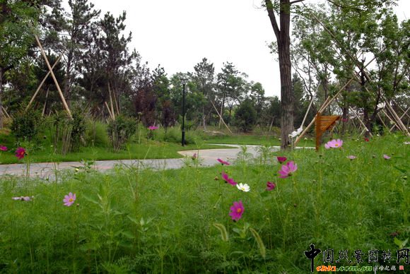 2009年北京园林优秀设计奖--常营郊野公园