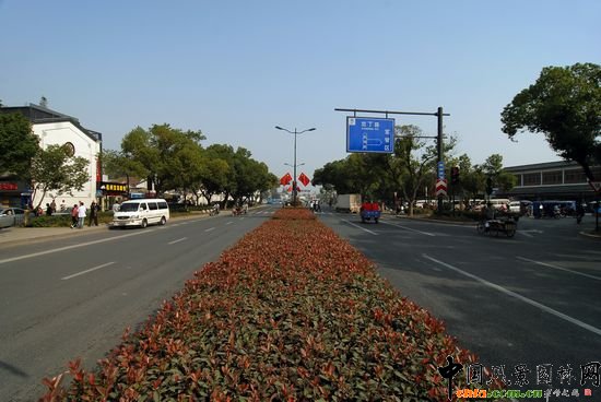 杭州市机场路道侧节点绿化工程