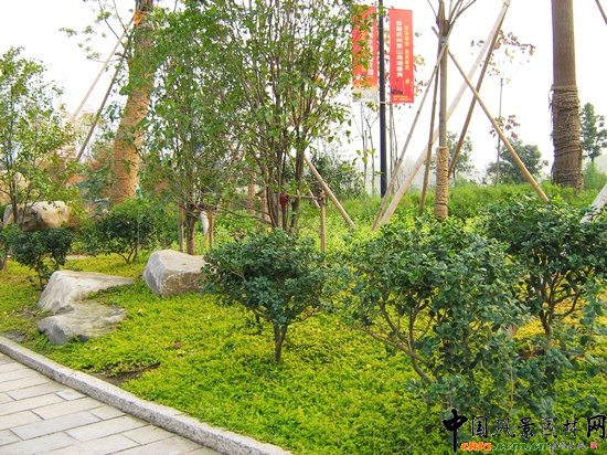 杭州湘湖下孙村落景观设计室外工程-园林绿化