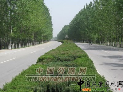 徐州：“四个理念”打造低碳生态公路