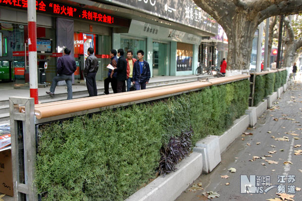 南京建成立体式绿岛 草坪住上“楼房”