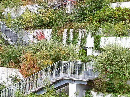 日本ACROS福冈：台阶状屋顶花园(图)