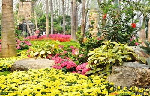 上海植物园:访辰山植物园温室观后感