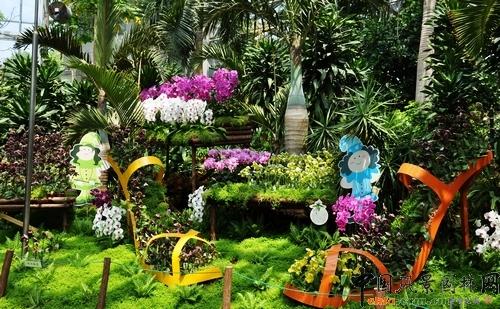上海植物园:访辰山植物园温室观后感