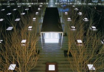 佐佐木叶二作品系列展示（七）：榉树广场