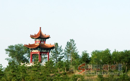 山西忻州九龙岗森林公园成为忻州城区园林新景