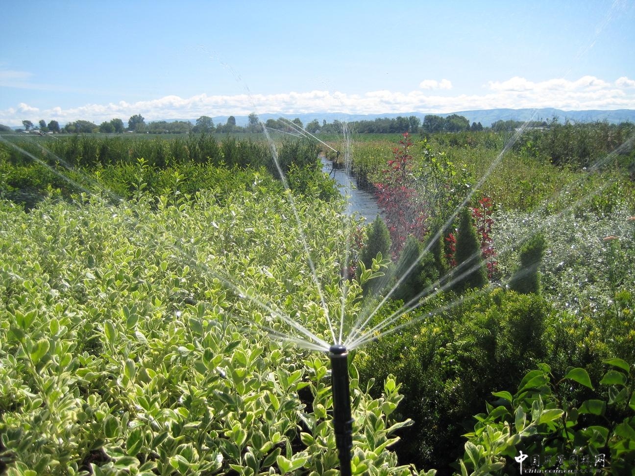 高效节水的现代园林灌溉技术_科技动态|园林科