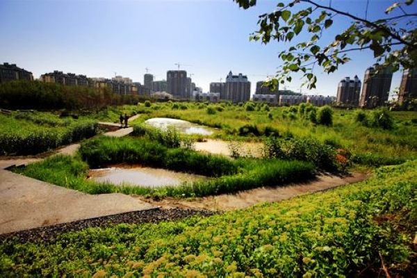 哈尔滨:群力国家城市湿地公园_滨水湿地|规划设