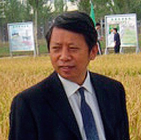 张福昌:稻田改变了我们对景观的认识