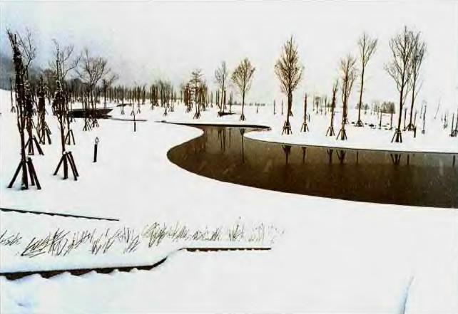 户田芳树作品：绿色津南中央庭园 中国风景园林网