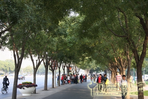 张新宇 景观设计 长安街 北京园博会设计师广场 中国风景园林网