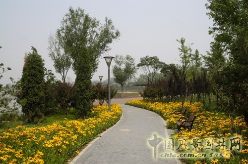 张新宇 大兴新城滨河森林公园  规划设计 设计师广场 中国风景园林网