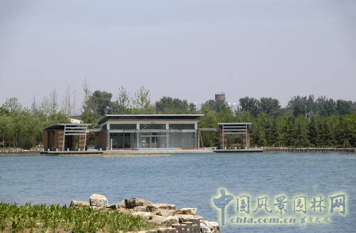 张新宇 大兴新城滨河森林公园  规划设计 设计师广场 中国风景园林网
