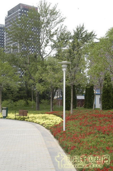 张新宇 公园绿地建设工程  规划设计 设计师广场 中国风景园林网