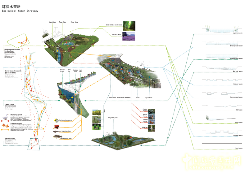 伊娃•卡斯特罗 设计 规划 景观 台中市中央公园 中国风景园林网