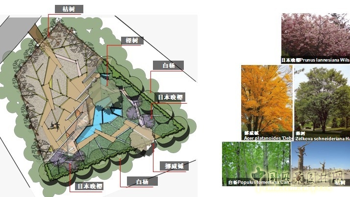 镜园 张建林 雨水收集系统 园林植物 设计 园林 景观