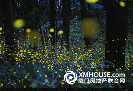 萤火虫 主题公园 六一 免费 儿童 中国风景园林网