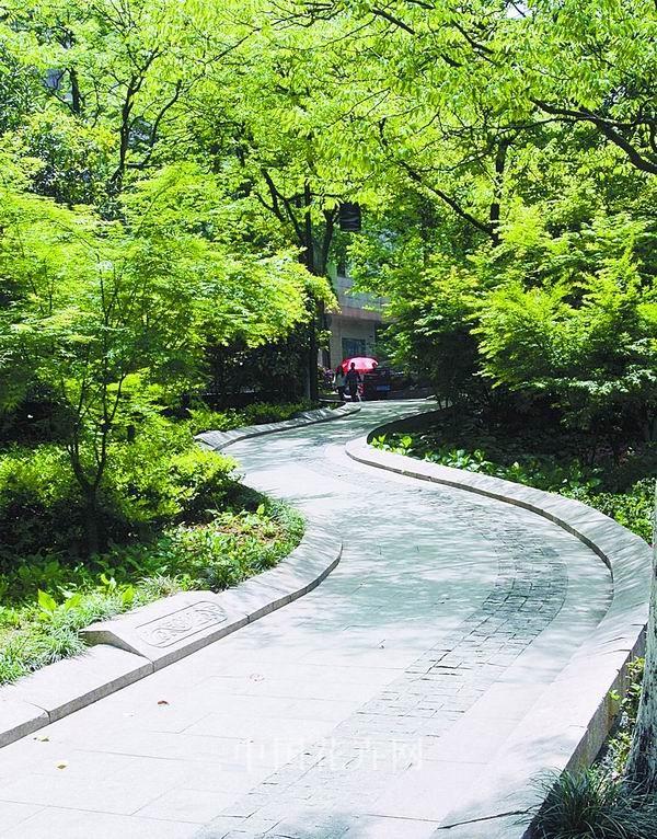 中国风景园林网 园林绿化 工程动态