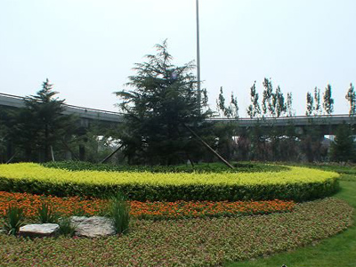 园林城市二十年 系列:北京园林绿化成就_国内
