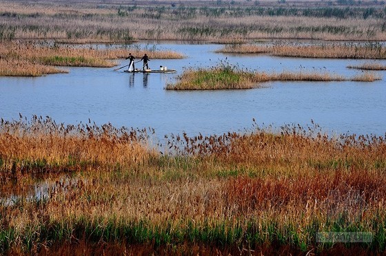 浙江台州正式开工建设首个海滨型国家湿地公园