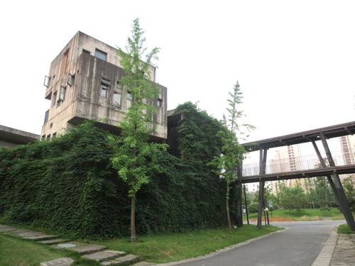 中国美术学院 王澍 绿色 建筑 设计 屋顶 绿化 中国风景园林网