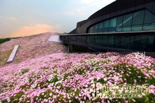 空中花海 国内 最大 屋顶花园 巨人网络总部 中国风景园林网