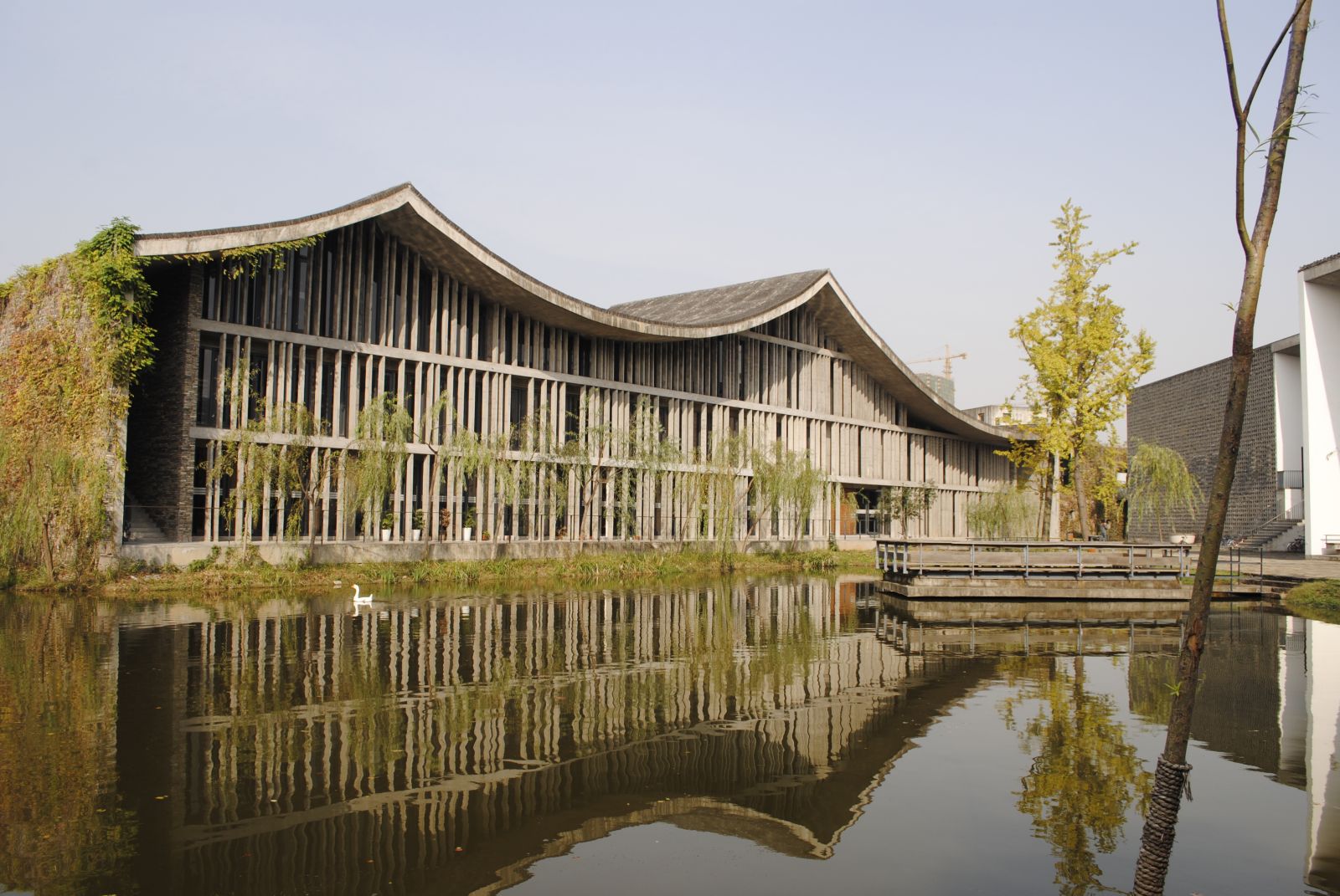屋顶绿化大会技术考察:中国美术学院象山校区
