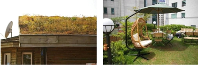 首尔 绿色屋顶 绿化 屋顶绿化大会 中国风景园林网