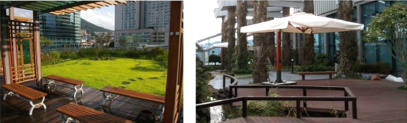 首尔 绿色屋顶 绿化 屋顶绿化大会 中国风景园林网