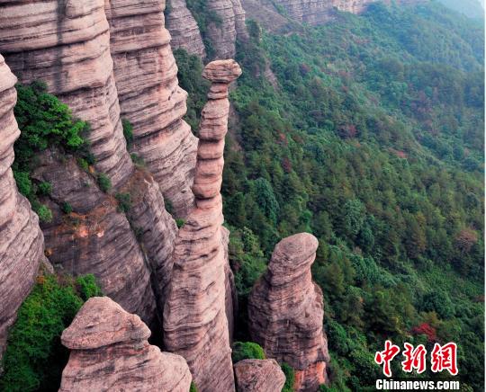 中国风景园林网 国内动态