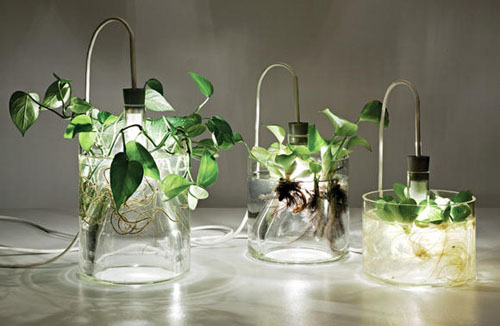 花瓶里的灯光 自然植物灯  